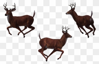 Buck At Getdrawings Com Free For Personal - Group Of Deer Png Clipart