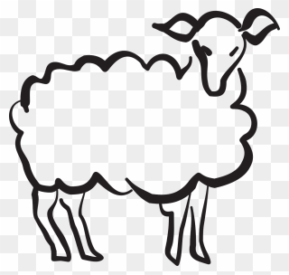 Drawing A Lamb Clipart