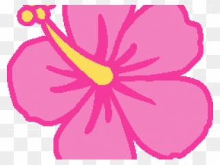 Hibiscus Clipart Hibiscus Tree - South Sydney Rabbitohs - Png Download
