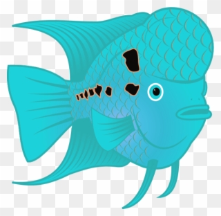 Flowerhorn Fish - Flower Horn Fish Clip Art - Png Download