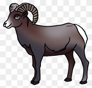 United States Clip Art By Phillip Martin, Colorado - Rocky Mountain Bighorn Sheep Cartoon - Png Download