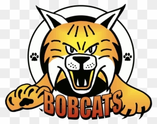 Bobcat Mascot Related Keywords Bobcat Mascot Long Tail - Ben Hem Bobcat Clipart