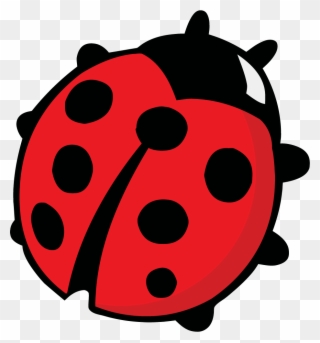 Alphabets Clipart Ladybug - Colouring Images Of Ladybird - Png Download