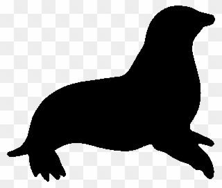Leopard Seal Clipart Animated - Sea Lion Silhouette Png Transparent Png