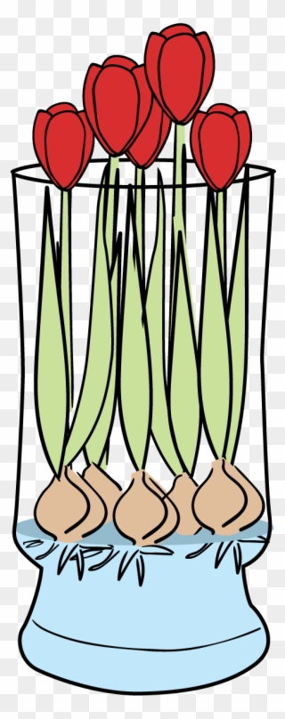 The Mold Will Not Affect The Growth Of The Plants - Bloomaker, Inc. Clipart