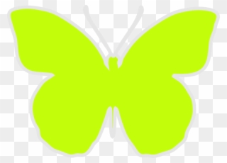 Free Green Scrap Butterfly Png - Portable Network Graphics Clipart