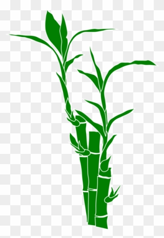 Bamboo Png 18, Buy Clip Art - Bamboo Clip Art Transparent