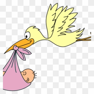 Animated Baby Clipart Stork Ba Clipart Free Graphics - Dibujo Cigueña Con Bebe Para Colorear - Png Download