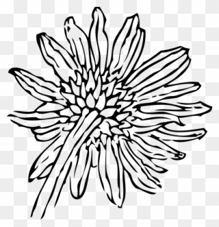 Simple Flower Outline 14, Buy Clip Art - Sunflower Clip Art - Png Download