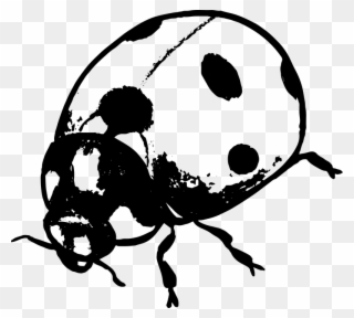 Black And White Ladybug Clipart 10, Buy Clip Art - Ladybug Silhouette - Png Download