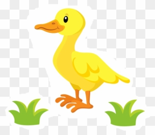 Eine Kleine Ente In Eine Bordüre Oder In Einen Pullover - Duck Clipart