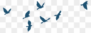 Bird Gif Png - Bird Flying Gif Png Clipart