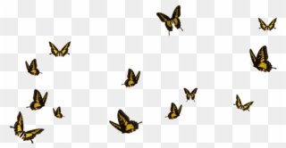 Butterflies Flying Away Png Clipart