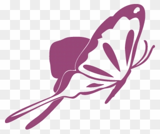 Butterfly In Graphic Clipart