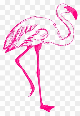 Pink Flamingo Cliparts 17, Buy Clip Art - Flamingos Drawing - Png Download