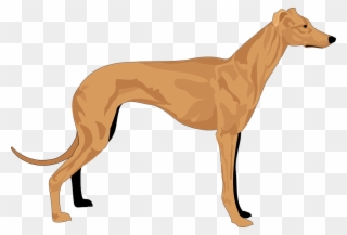 Collection Of Hound Dog Clipart - Hound Clipart - Png Download