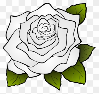 Rose Flower Drawing 11, Buy Clip Art - Transparent Rose Outline - Png Download