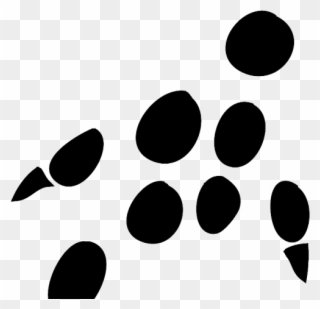 Footprint Clipart Rat - Transparent Hedgehog Footprints - Png Download