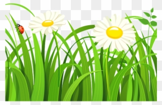 Free Grass Clipart - Grass Vector Free Png Transparent Png