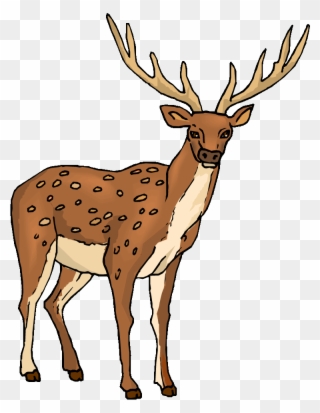 Clipart Male Deer Clipart - Imagenes De Ciervo Animadas - Png Download