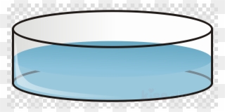 Petri Dish Png Clipart Petri Dishes Cell Culture Clip - Petri Dish Clip Art Transparent Png