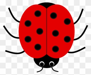 Cute Ladybug Clip Art Free Cliparts - Clip Art Of Ladybug - Png Download