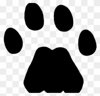 Cougar Clipart