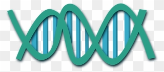 Science Word Clipart - Transparent Gene Clip Art - Png Download