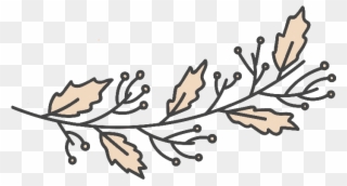 Decorative Divider Branch Clipart