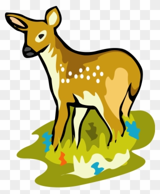 Clipart Info - White Tailed Deer Cartoon - Png Download