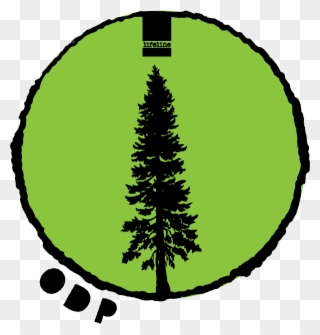 The Groundwork Is Being Laid For A New Mentoring Program - Douglas Fir Silhouette Clipart