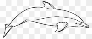 Dolphin Pictures To Color Clipart Common Bottlenose - Colouring Sheet Of Dolphin - Png Download