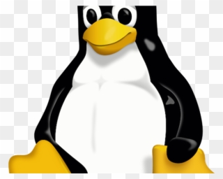 Uk Government Recruits Chief Open Source Penguin Clipart