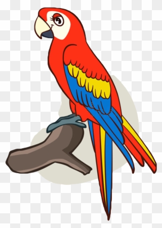 Report Abuse - Cute Parrot For Drawing Clipart