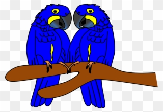 Arara Azul Imagens Animais By Amigo Nicola - Hyacinth Macaw Clipart