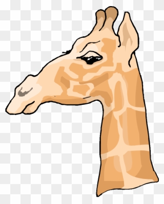 Free Giraffe Clipart - Side Profile Of A Giraffe - Png Download