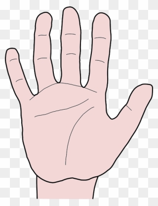 Hand, Fingers, Thumb, Index Finger, Pointer Finger - Finger Animasi Clipart