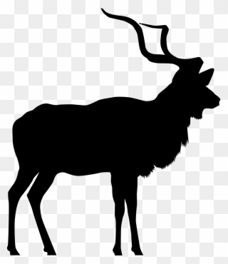 Collection Of Deer Head Silhouette - Kudu Clipart Silhouette - Png Download