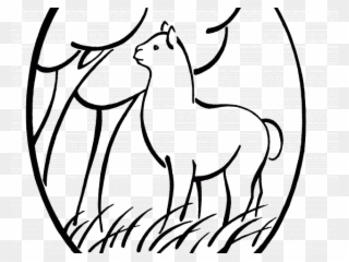 Head Clipart Alpaca - Facebook - Png Download