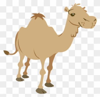 Camel - Chew Animation - Animated Gif Moving Camels Walking Clipart