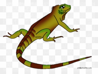 Iguana Clipart Galapagos Island - Iguana Pictures For Kids - Png Download