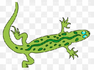 Green Iguana Clipart Geko - Lizard Clip Art - Png Download