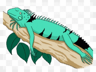 Iguana Clipart Face - Iguana - Png Download