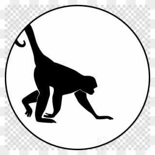 Spider Monkey Silhouette Clipart Cat Clip Art - Indonesia University Of Education - Png Download
