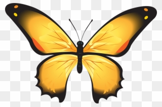 Yellow Butterfly Clipart 15, Buy Clip Art - Kupu Kupu Warna Kuning - Png Download