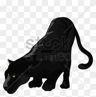 Black Panther Clipart Black Panther Black Cat - Vector Graphics - Png Download