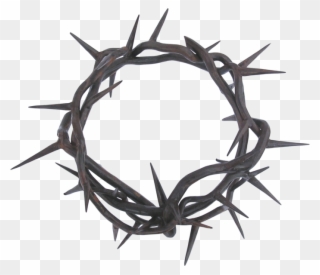 Crown Of Thorns Thorns, Spines, And Prickles Clip Art - Crown Of Thorns Png Transparent Png