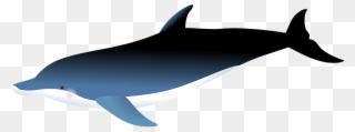 Orca Mascot Cliparts 21, Buy Clip Art - Portable Network Graphics - Png Download