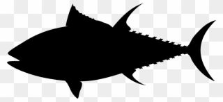 Tuna Fish Silhouette Black Png Image - Tuna Vector Clipart