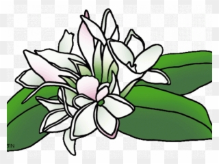 Flowers Clipart Mayflower - Mayflower Flower Png Transparent Png